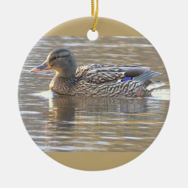 Ornement de photo de canard colvert  (Devant)