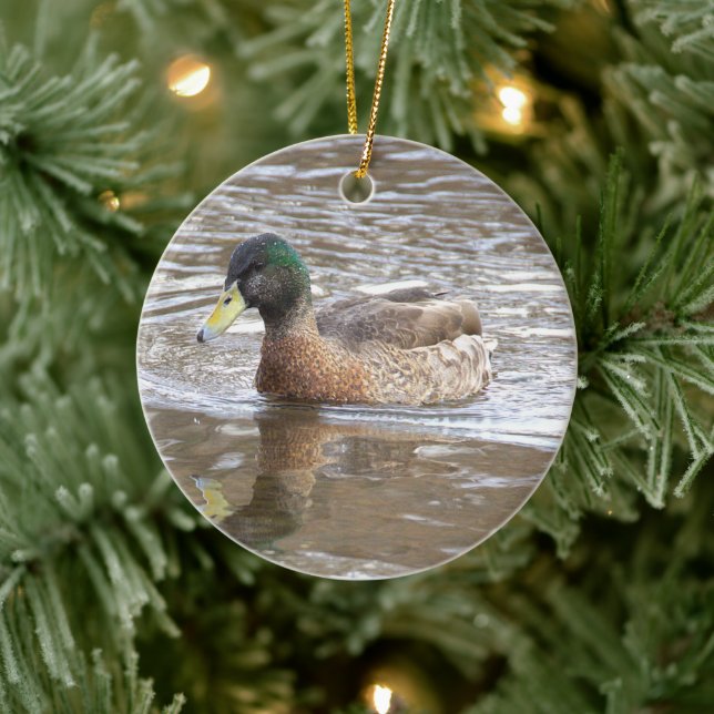 Ornement de photo de canard colvert (Arbre)