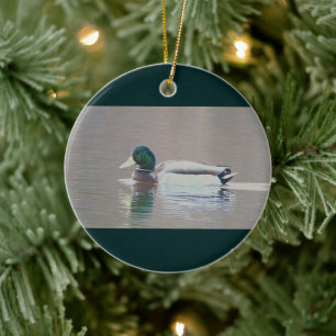 Ornement de photo de canard colvert