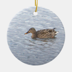 Ornement de photo de canard colvert