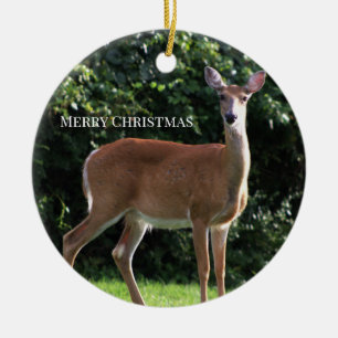 Ornement de photo de cerf