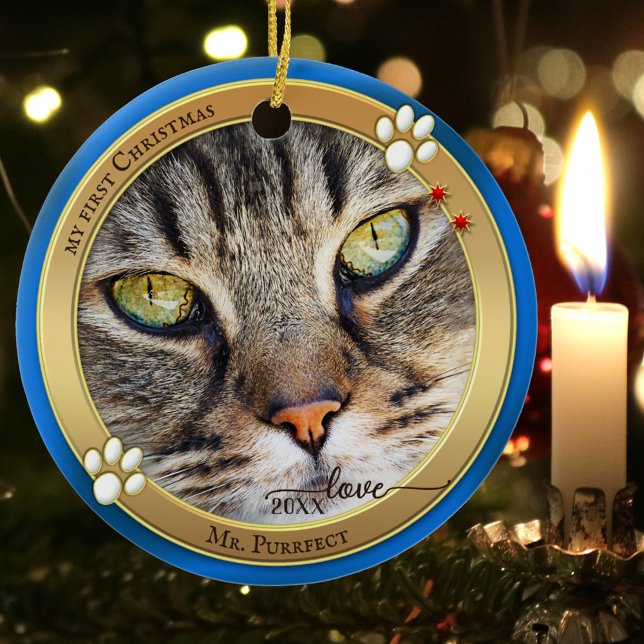 Ornement de photo de chat mignon Blue Gold (Créateur téléchargé)