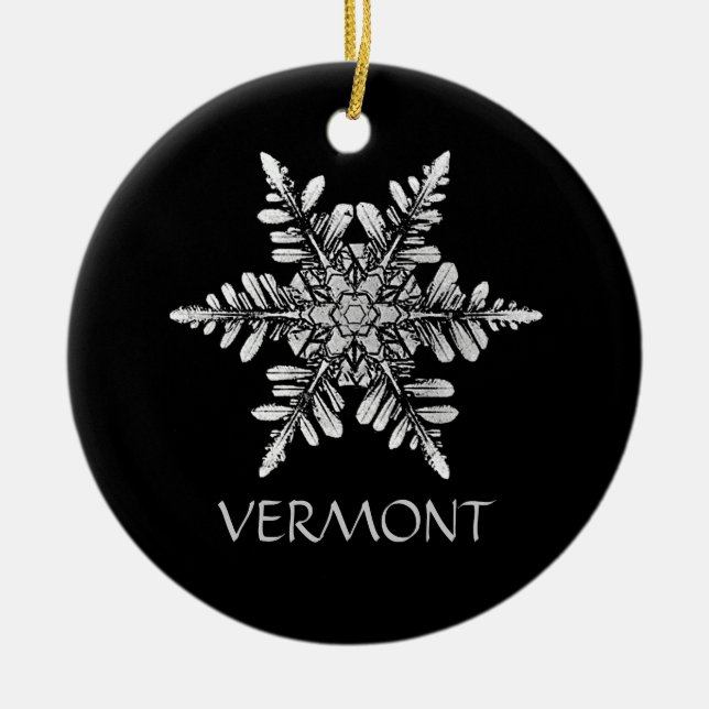 Ornement de photo de flocon de neige à customiser (Devant)