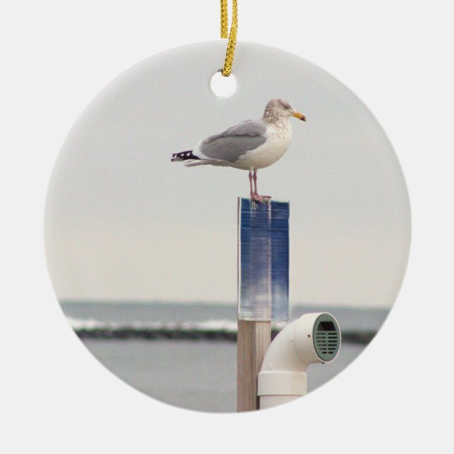 Ornement de photo de mouette  (Devant)