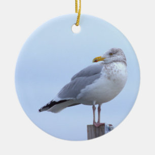 Ornement de photo de mouette