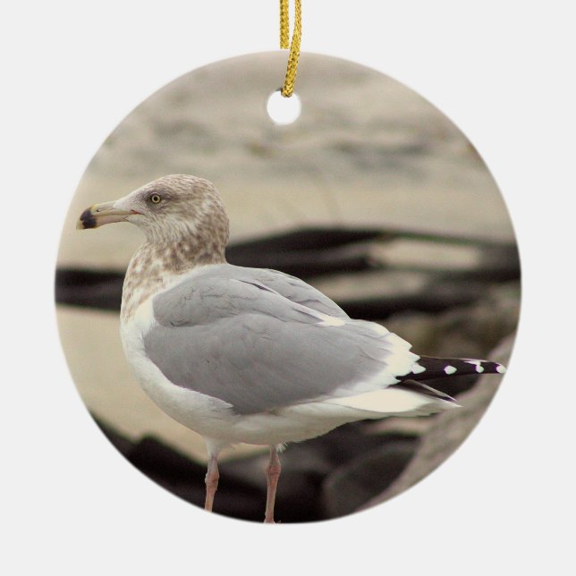 Ornement de photo de mouette  (Devant)