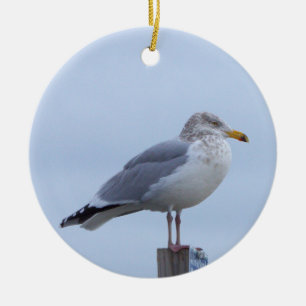 Ornement de photo de mouette