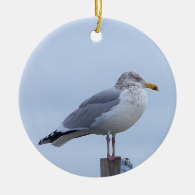 Ornement de photo de mouette  (Devant)