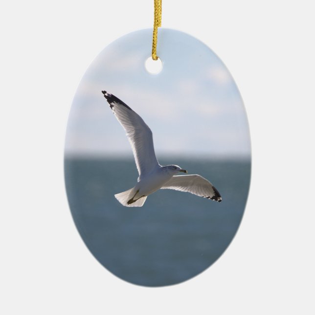 Ornement de photo de mouette volant  (Devant)