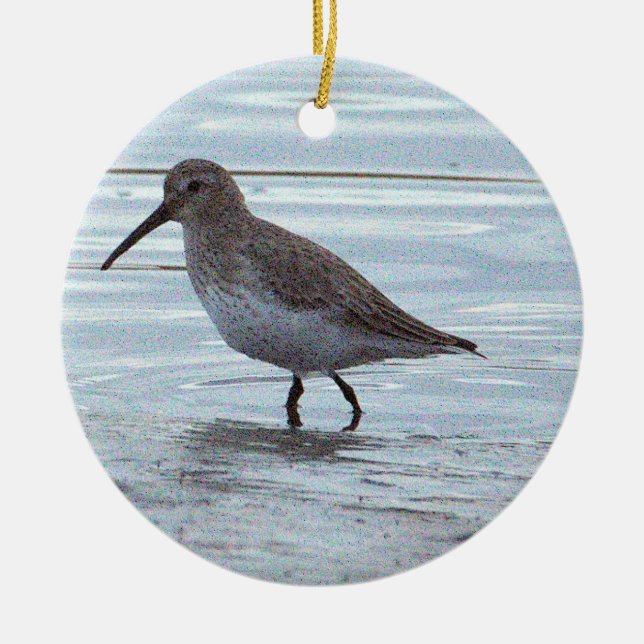 Ornement de photo d'oiseau (Devant)