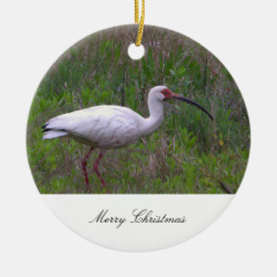 Ornement de photo d'oiseau Ibis