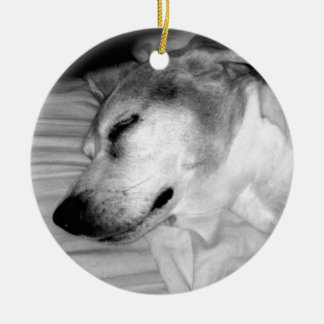 ornement de photo du chien 311-Custom