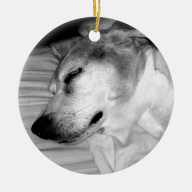 ornement de photo du chien 311-Custom (Devant)