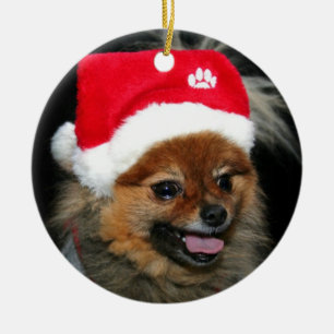 Ornement de Pomeranian de Noël