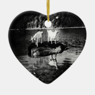 Ornement de puissance de chèvre