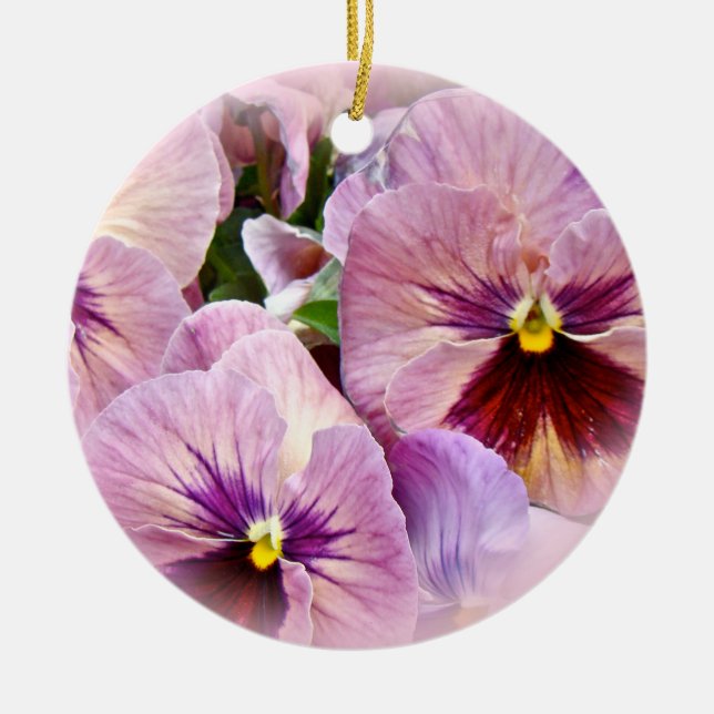 Ornement de sansy - Violet rose - Toutes les occas (Devant)
