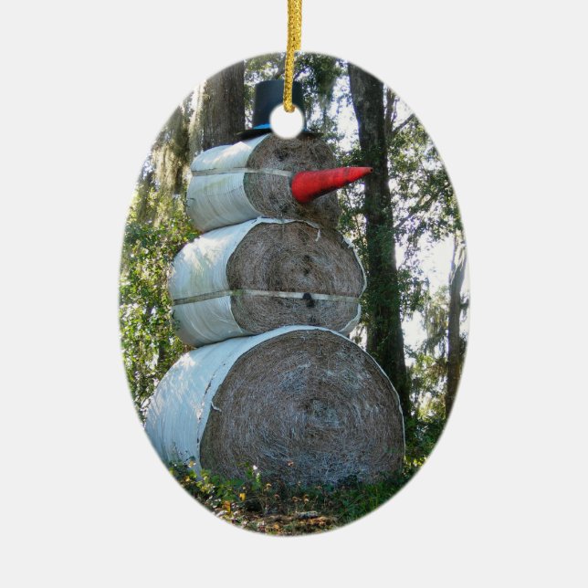 Ornement de Snowman en Floride (Devant)