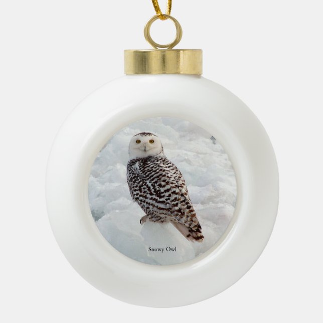 Ornement de Snowy Owl (Devant)