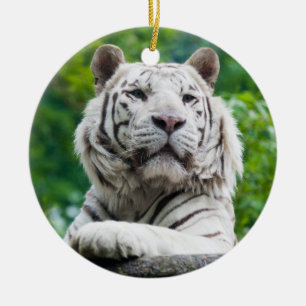 Ornement de tigre blanc