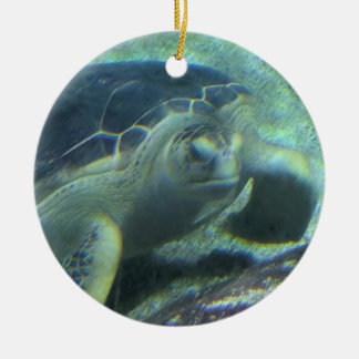 Ornement de tortue