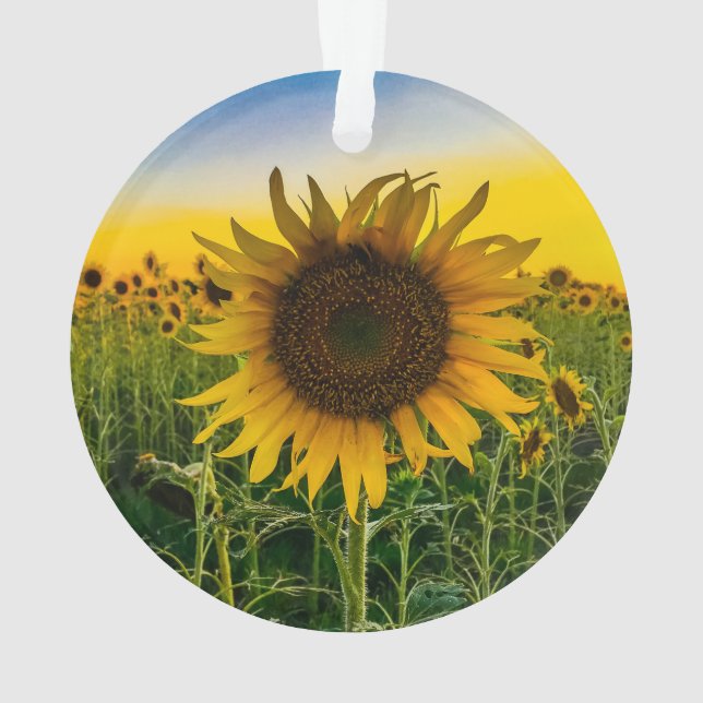 Ornement de tournesols (dos)