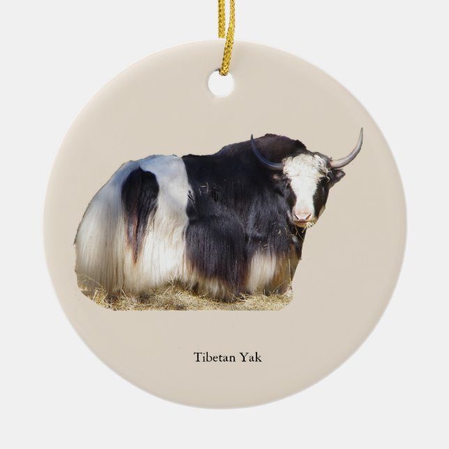 ornement de yak tibétain (Devant)