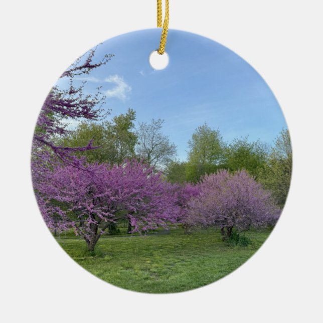 Ornement des arbres pourpres (Devant)