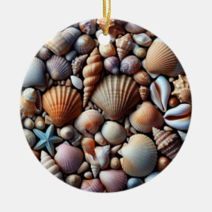 Ornement des coquilles de mer