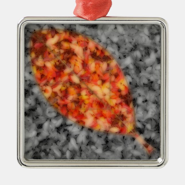 Ornement des ombres lumineuses (Devant)