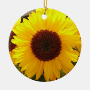 Ornement des tournesols
