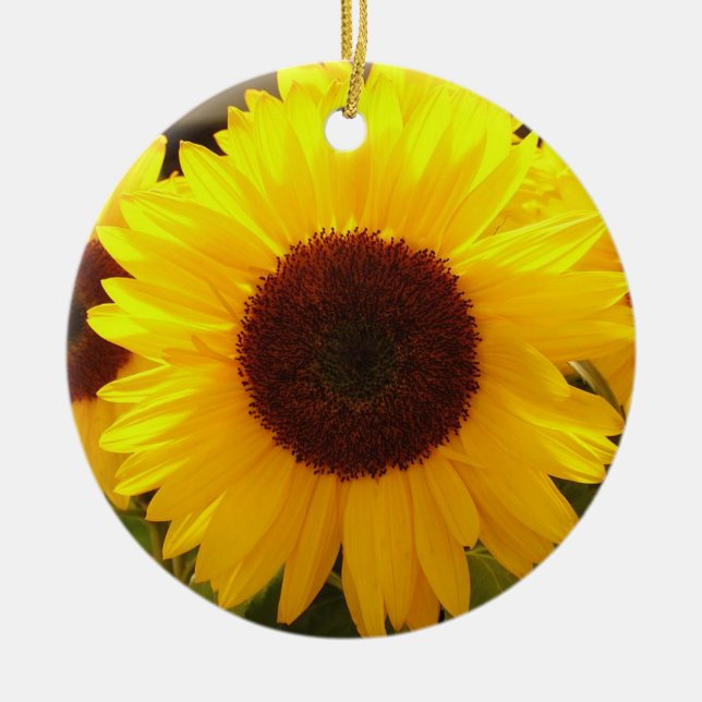 Ornement des tournesols (Devant)