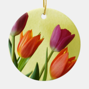 Ornement des tulipes