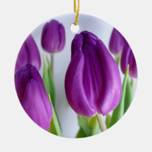 Ornement des tulipes
