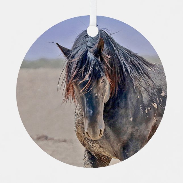 Ornement d'étalon puissant (Recto)