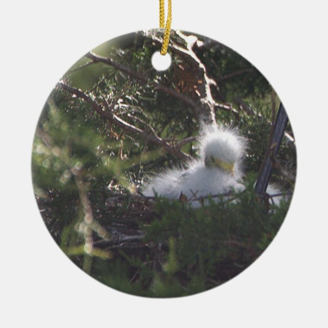 Ornement d'oiseaux de bébé d'Aiguille neigeuse (Devant)