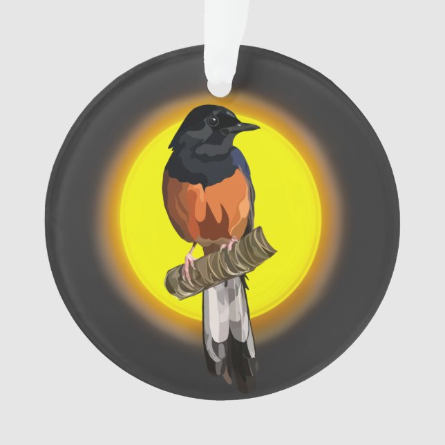 Ornement d'oiseaux de Shama à poings blancs (devant)