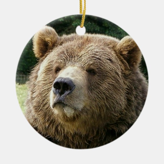 Ornement d'ours (Devant)