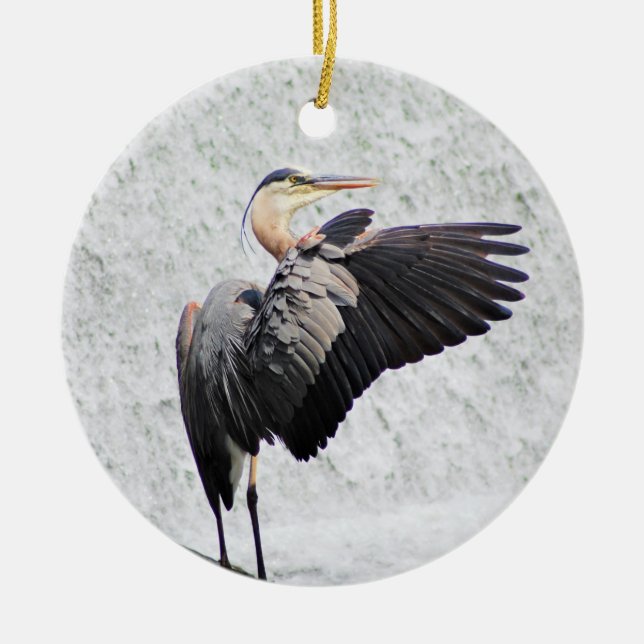 Ornement du cercle (Devant)