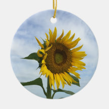 Ornement du terrain de tournesol