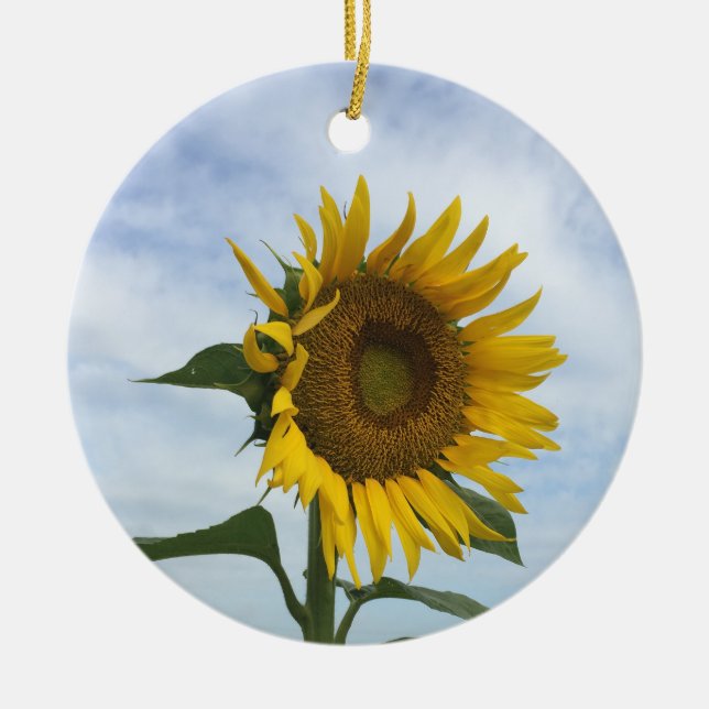 Ornement du terrain de tournesol (Devant)