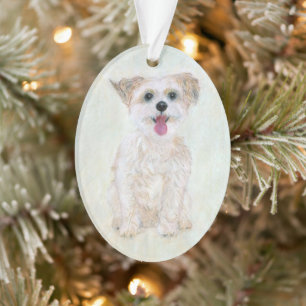 Ornement en acrylique Morkie