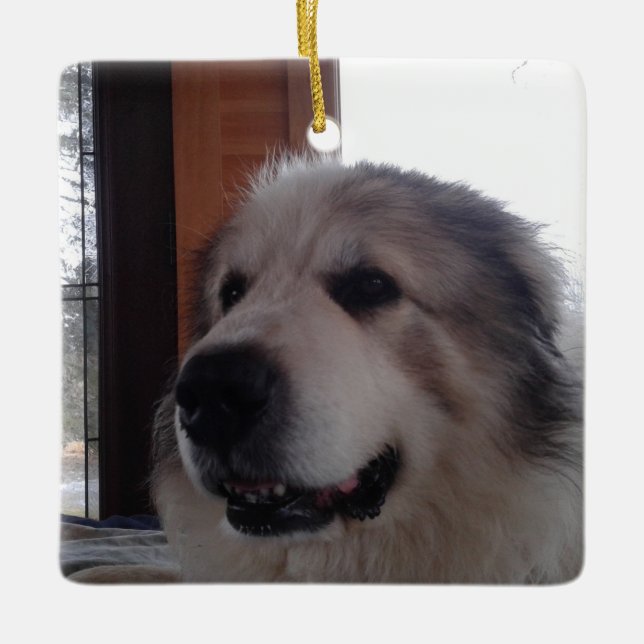 Ornement en céramique (Devant)