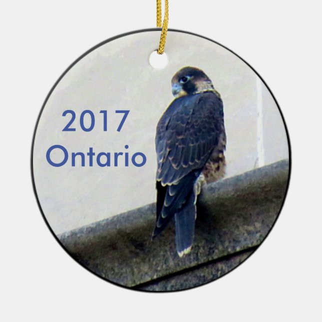 Ornement en céramique 2017 Ontario (Devant)