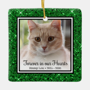 Ornement En Céramique À jamais dans nos cœurs Mémorial de chat vert pail