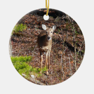 Ornement En Céramique Adorable Cerf dans les Bois Photographie de la nat
