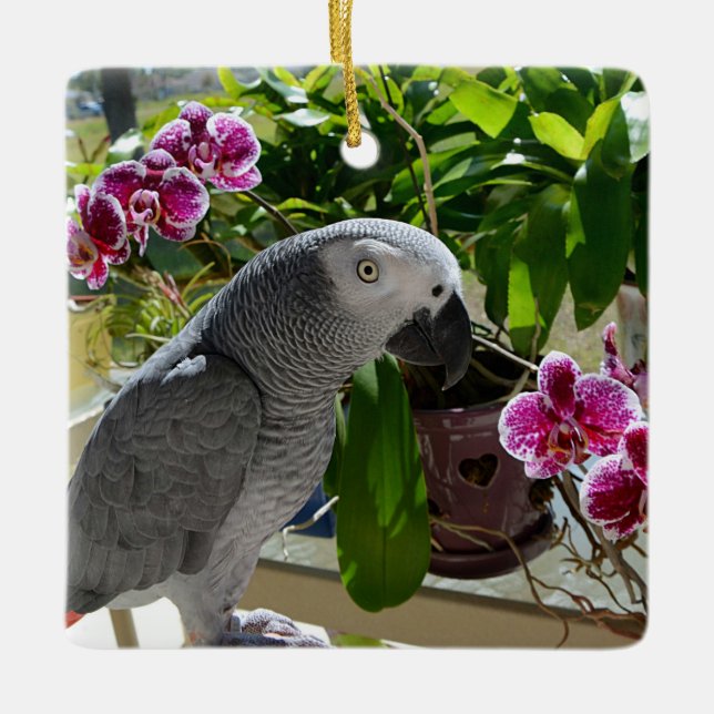 Ornement En Céramique African Grey Parrot with Orchids (Devant)
