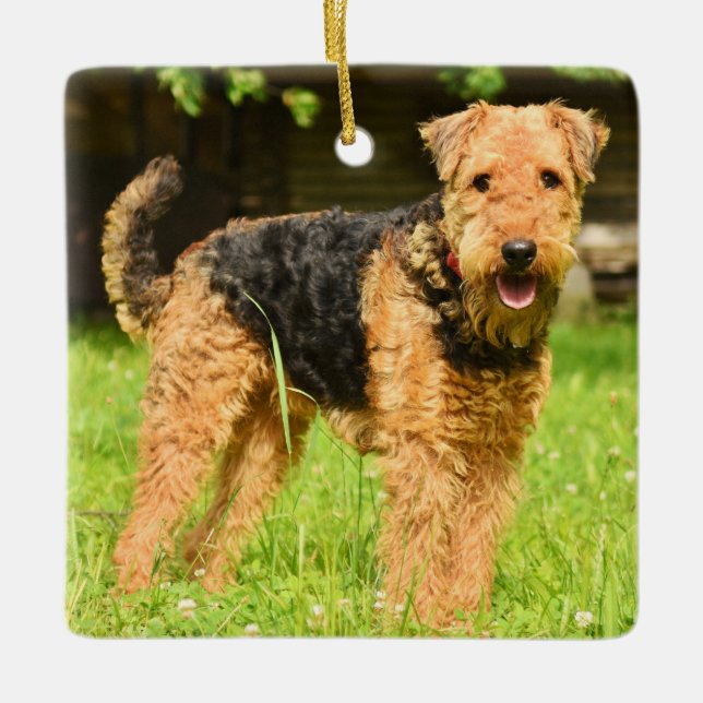 Ornement En Céramique Airedale Terrier Chien chiot (Devant)