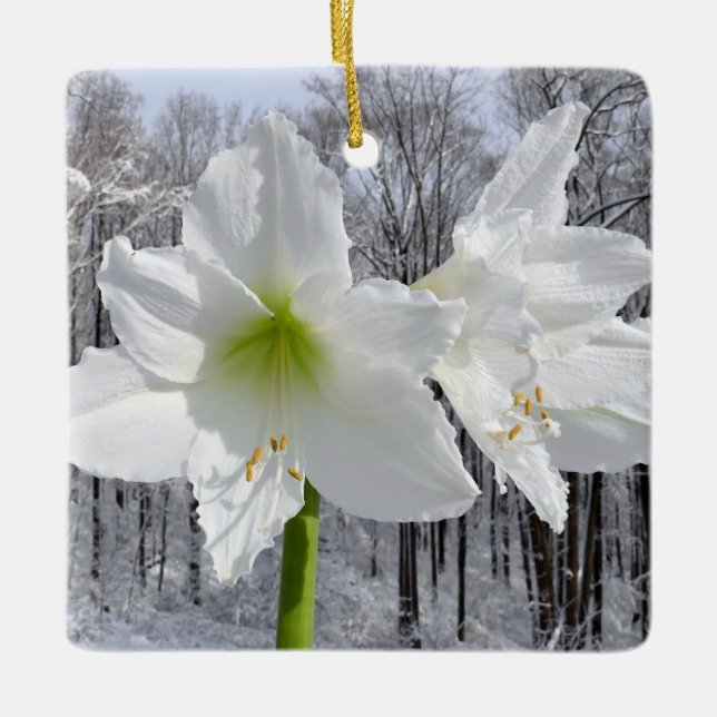 Ornement En Céramique Amaryllis blanc et neige I (Devant)