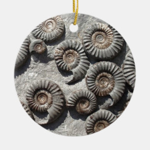 Ornement En Céramique Ammonites fossiles multi du Lias inférieur