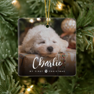 Ornement En Céramique Amusants manuscrits Type Pet's First Christmas Pho
